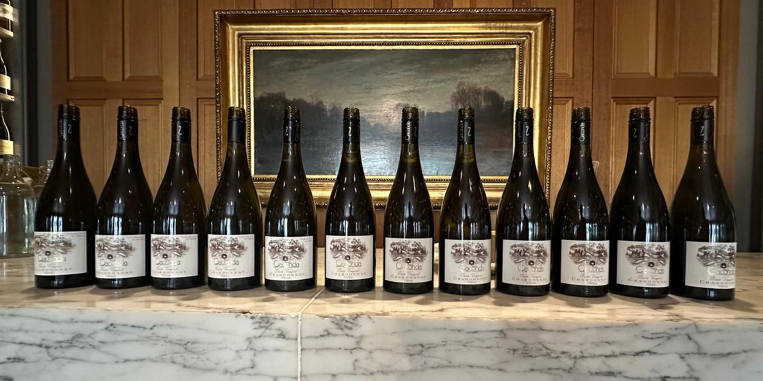 Upcoming Wine Animal Events – Secure Your Spot