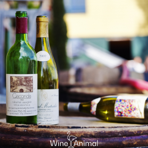 Three bottles of Giaconda wine, showcasing the elegance and rarity of Australia’s iconic Beechworth label.