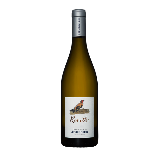 Domaine de l'Évêché En Reviller 2023 wine bottle on a white background