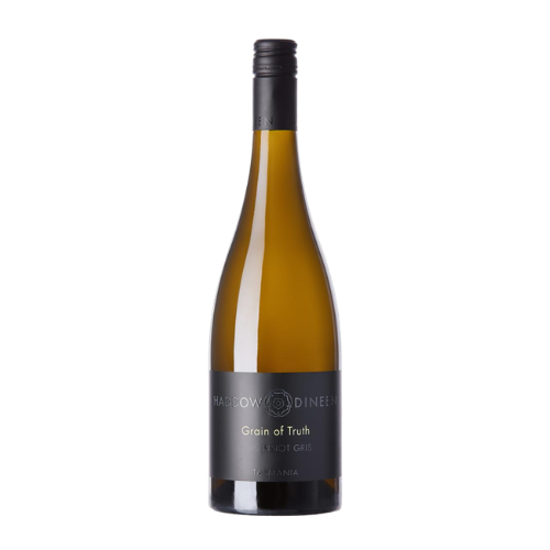 2024 Haddow and Dineen Grain of Truth Pinot Gris in a white background
