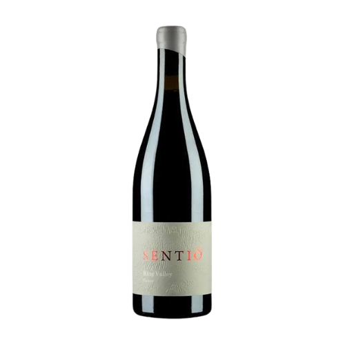 2025 Sentio Gamay in a white background