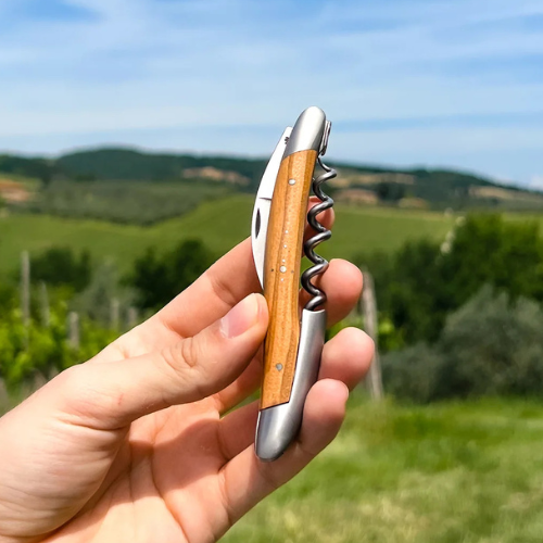 Sommelier knife Olivewood handle Satin finish