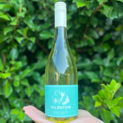 A bottle of Valentine 2020 Greco from Heathcote, held in an outstretched hand, with a turquoise label featuring a white lion emblem, set against a lush green leafy background.