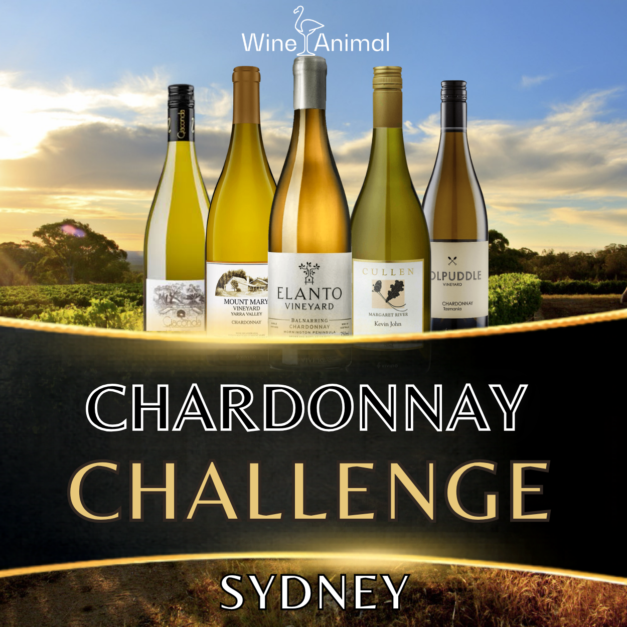 Chardonnay Challenge - Sydney