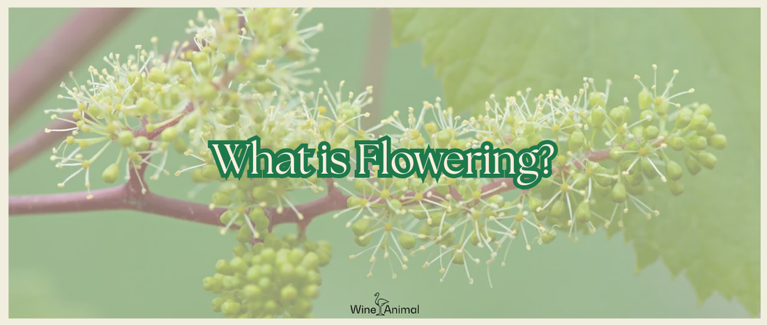 What is Flowering?