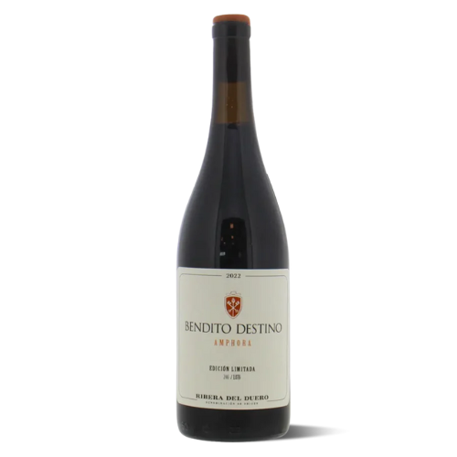 2022 Amphora