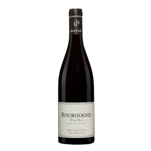 2023 Bourgogne Pinot Noir wine bottle on a white background