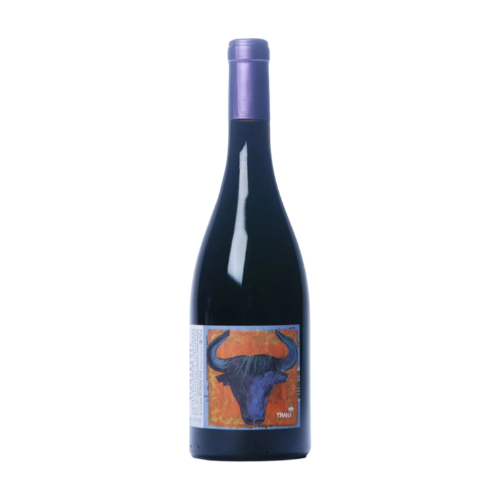 2023 Caves d'Estezargues Domaine Andezon wine bottle on a white background