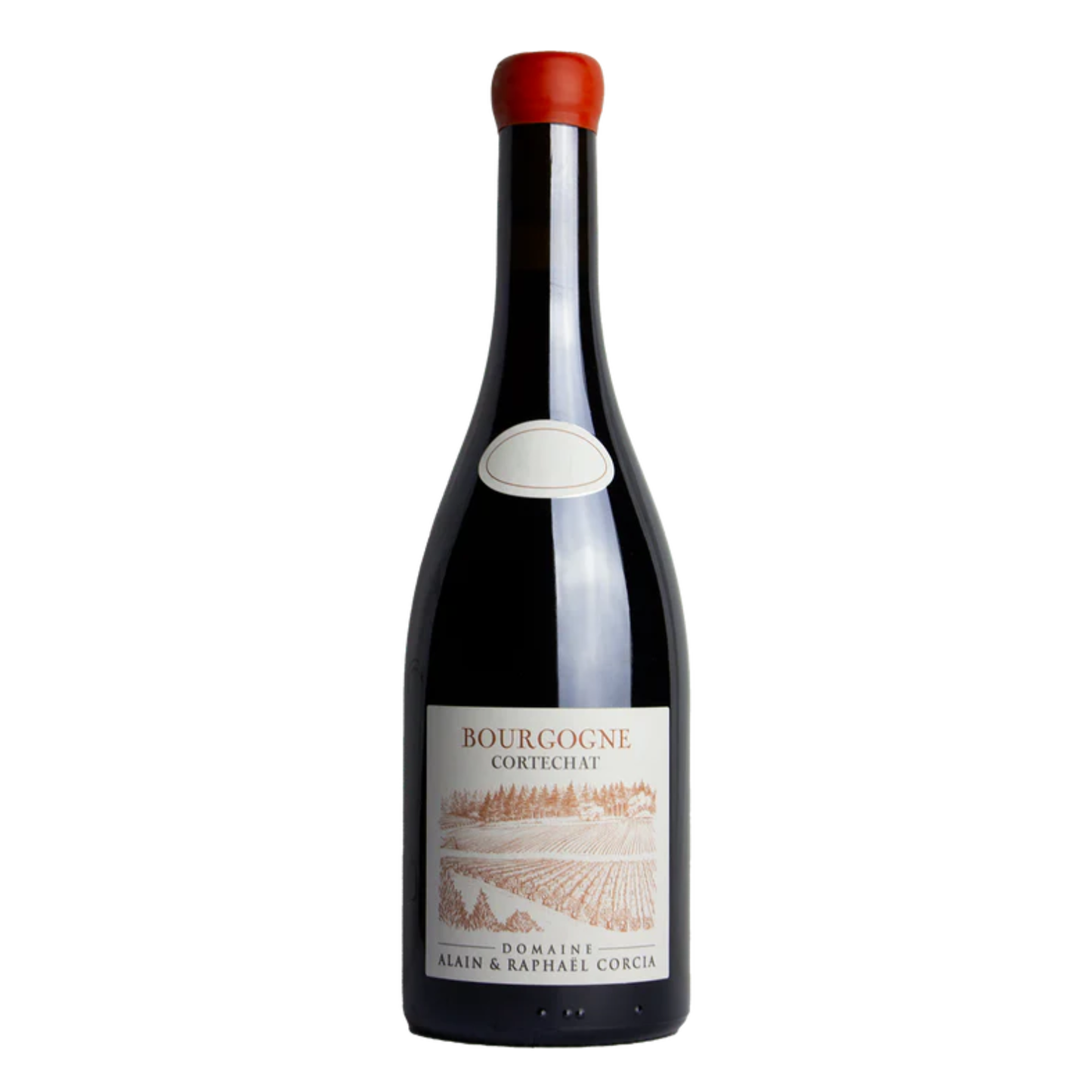 Domaine Corcia Bourgogne Cortechat 2023 red wine bottle on a white background