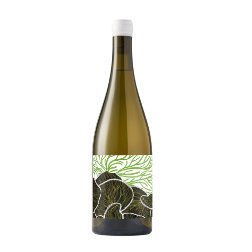 2024 Future Perfect Chardonnay in white background