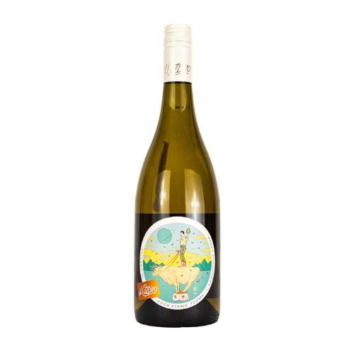 2024 Il Cattivo Fiano in white background”
