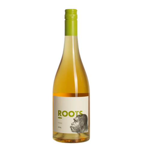 2024 Roots Fiano in white background