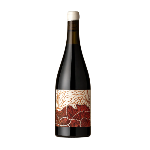 2025 Future Perfect Shiraz in white background