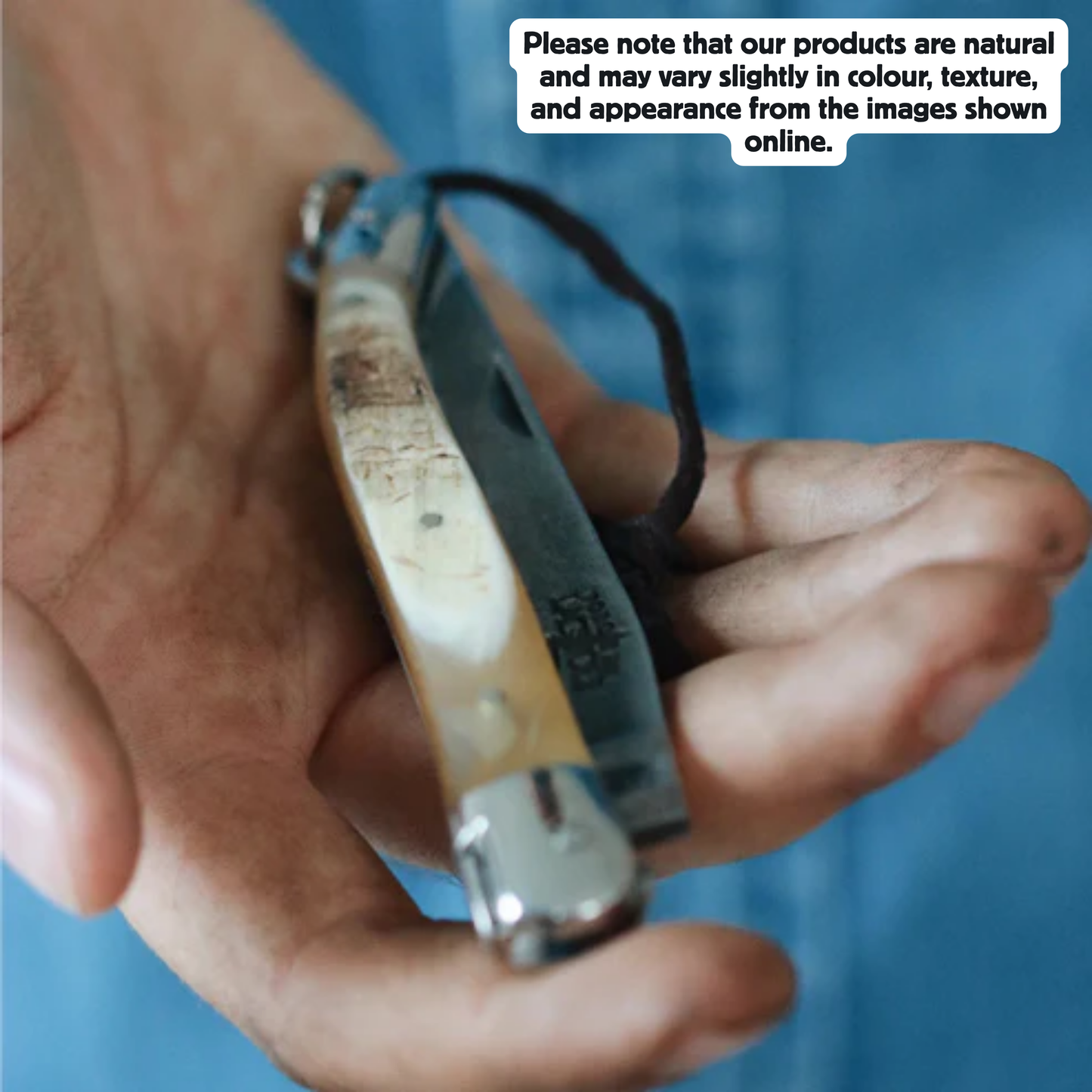 Folding knife Cow horn handle Satin finish 11cm