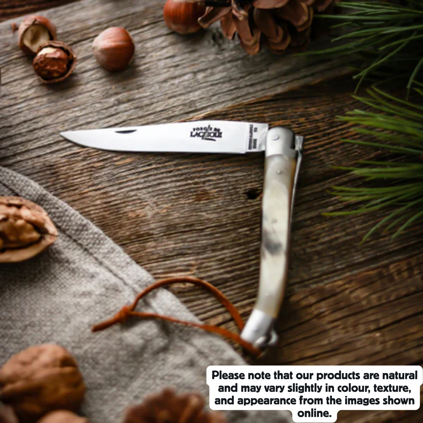 Folding knife Cow horn handle Satin finish 11cm