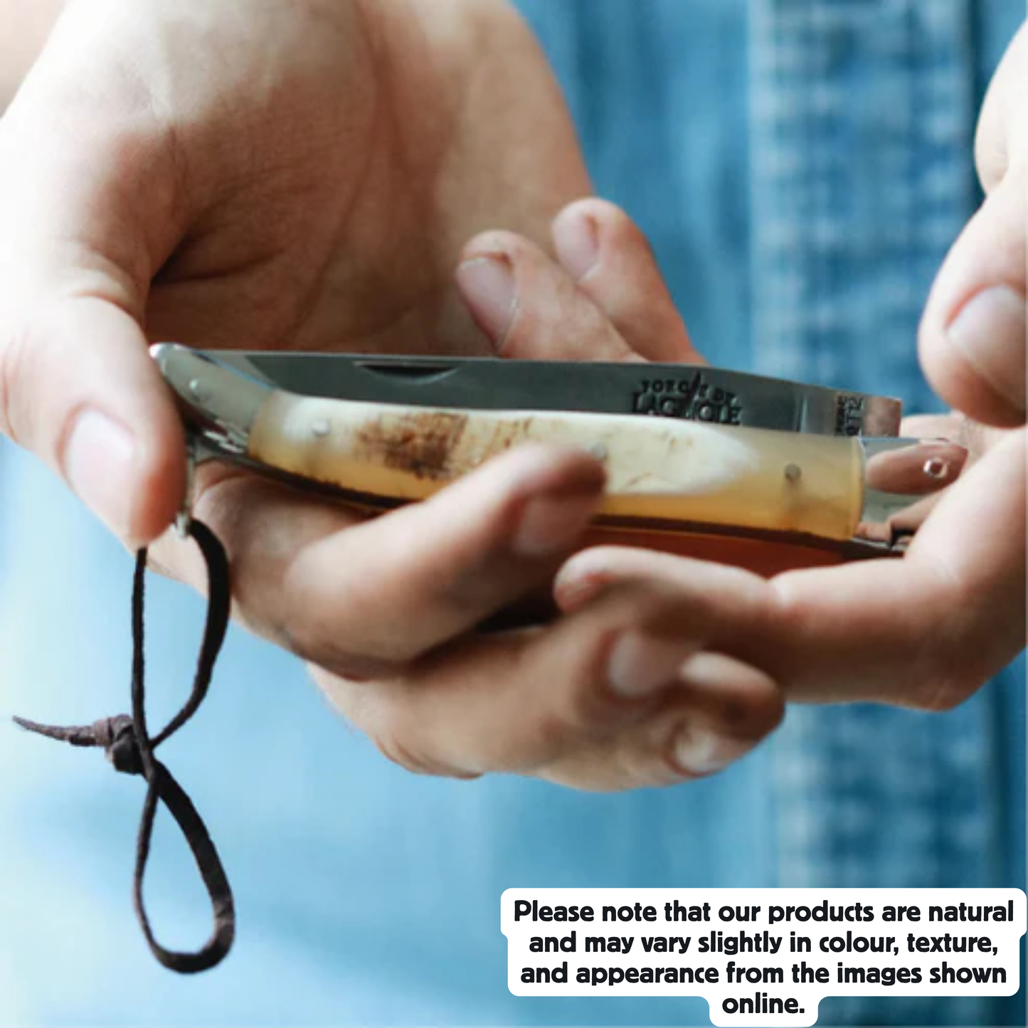 Folding knife Cow horn handle Satin finish 11cm