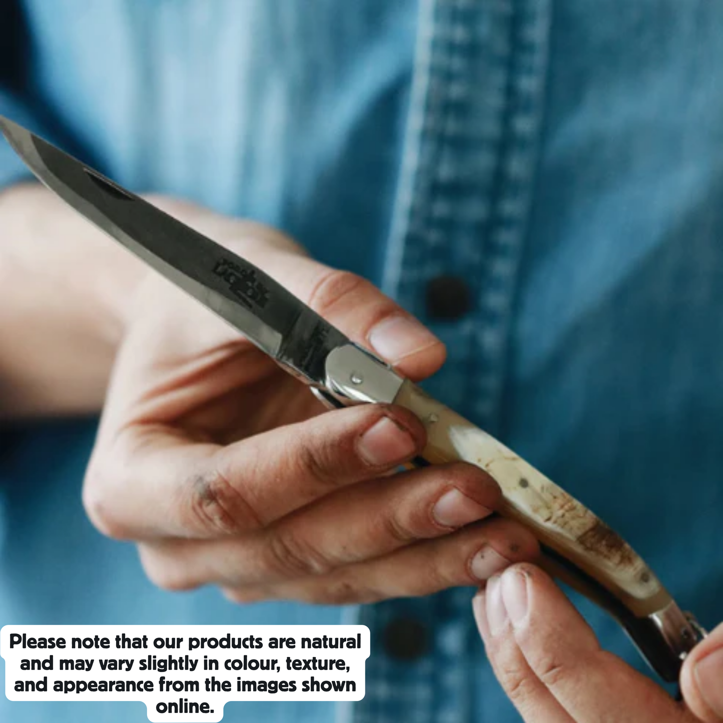 Folding knife Cow horn handle Satin finish 11cm