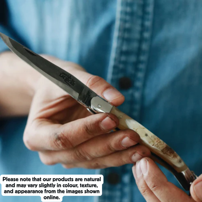 Folding knife Cow horn handle Satin finish 11cm