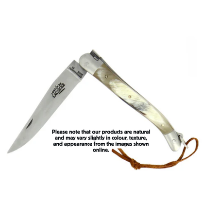 Folding knife Cow horn handle Satin finish 11cm