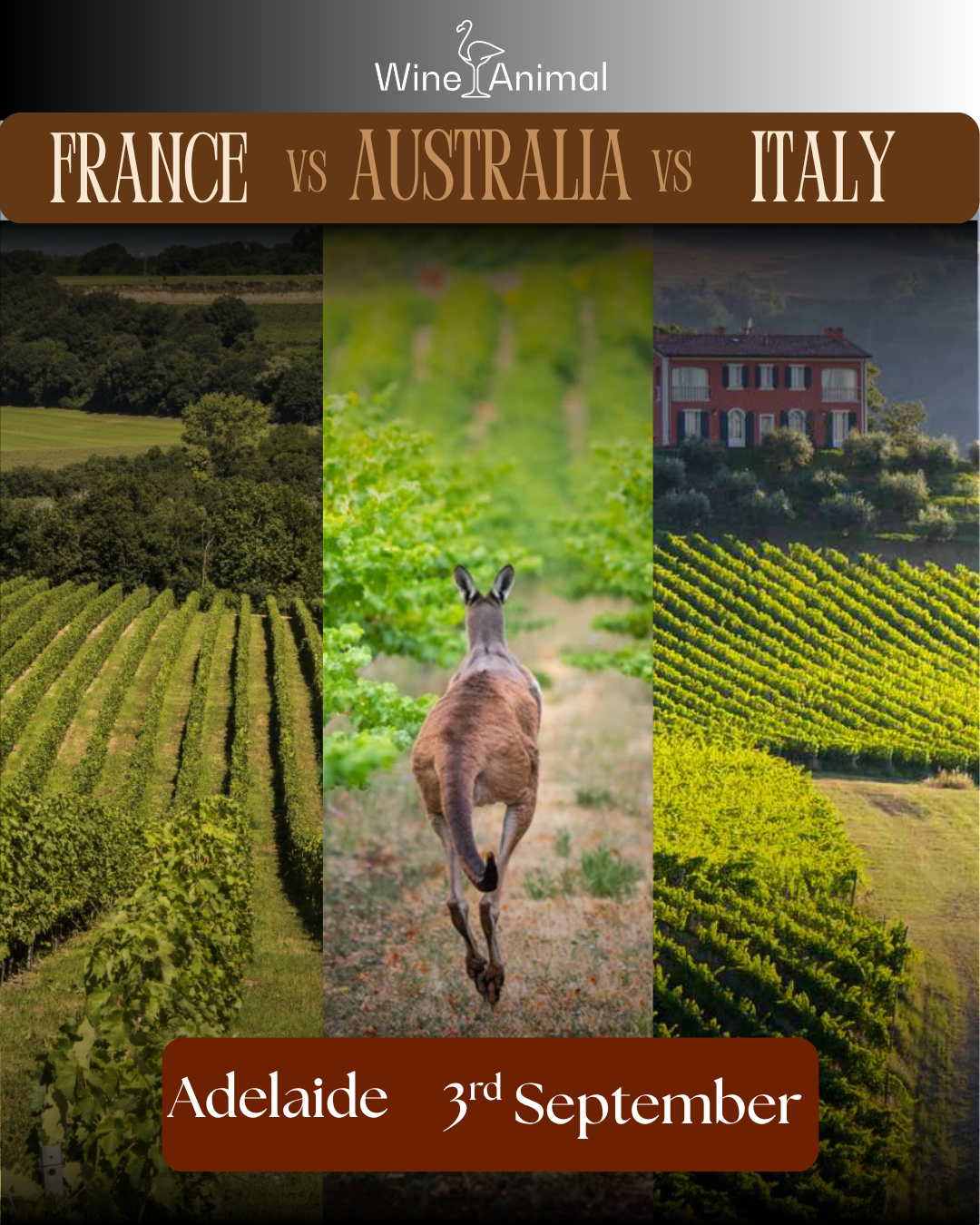 Australia vs Italy and France – Adelaide