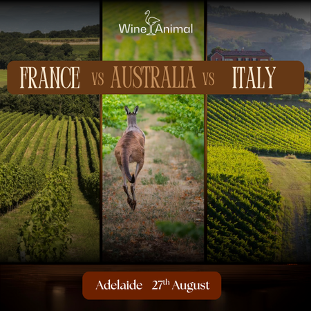 France vs Australia vs Italy – Adelaide