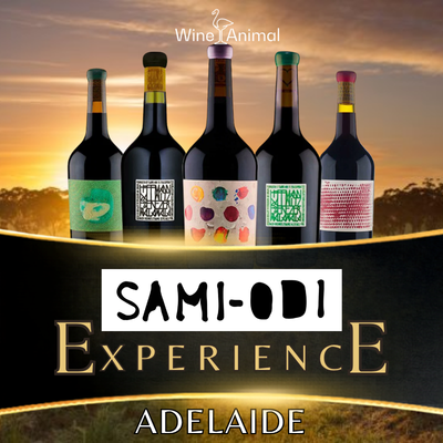 SAMI-ODI Experience - Adelaide