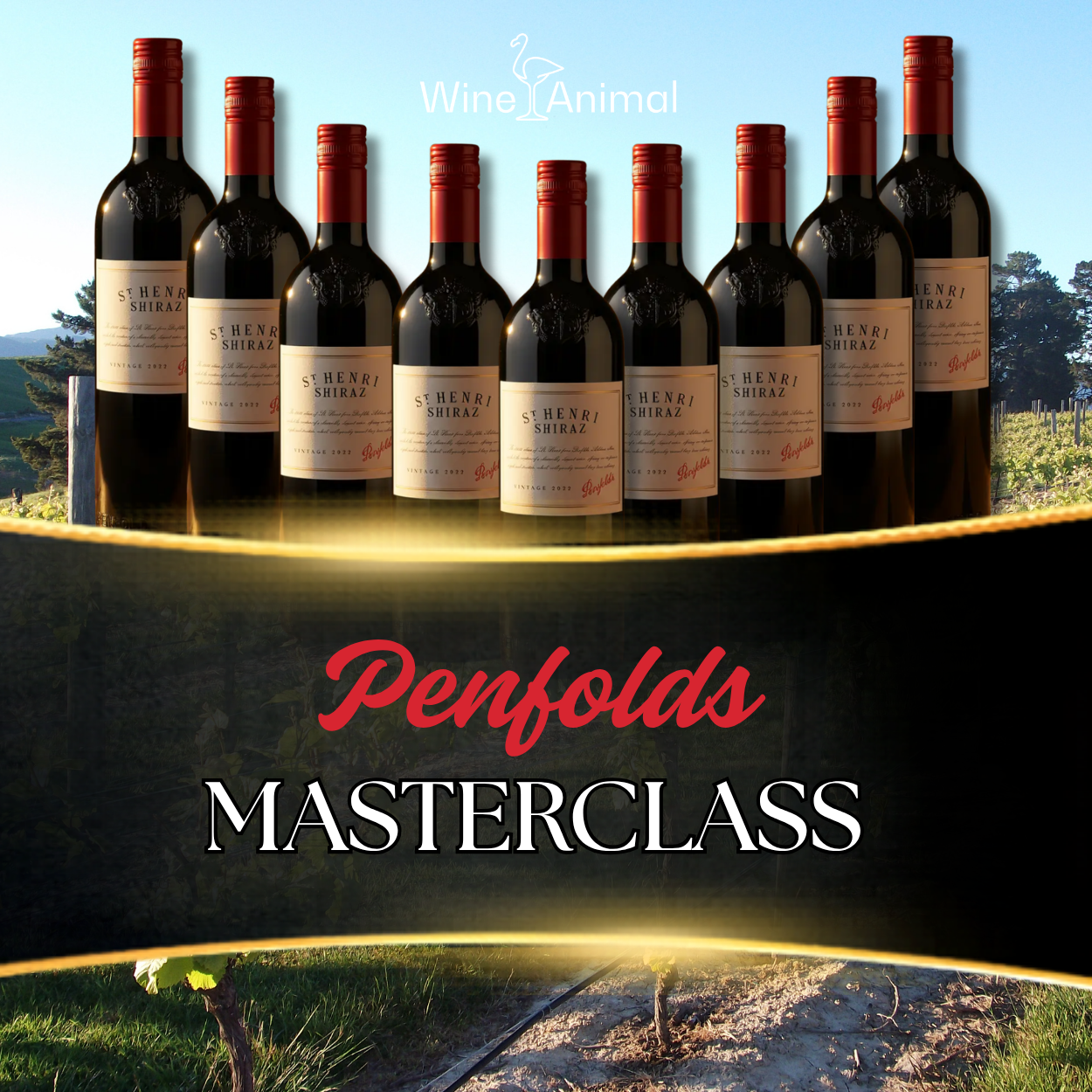 Penfolds St Henri Masterclass