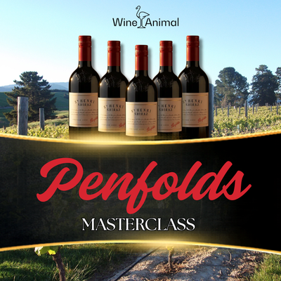 Penfolds St Henri Masterclass