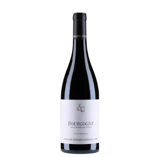 2022 Sylvain Cathiard – Bourgogne